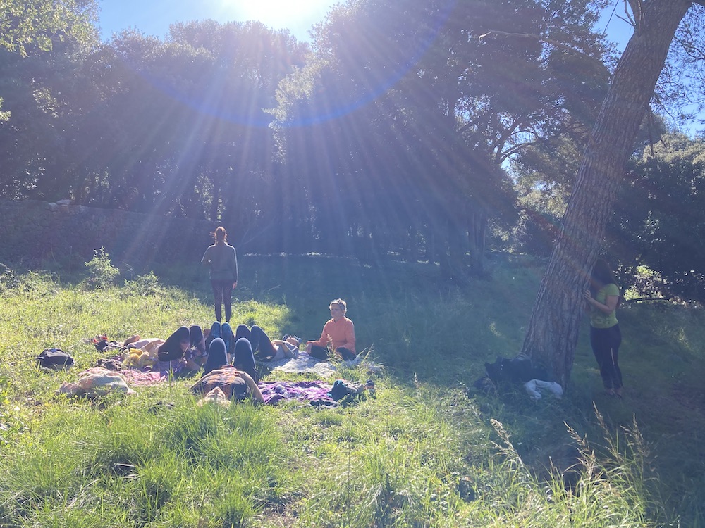 groupe dans la forêt