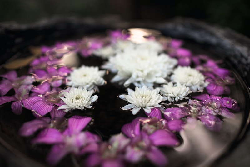 fleurs mauves et blanches flottant